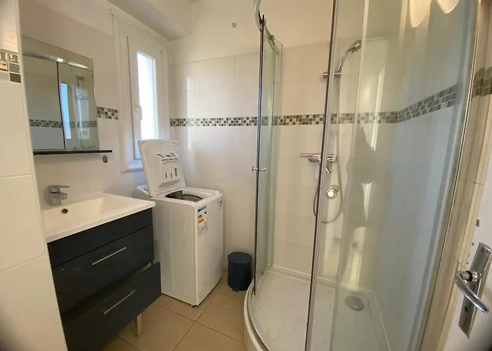 Διαμέρισμα Proche Des Thermes A Balaruc, Animaux Admis - Fr-1-503-70