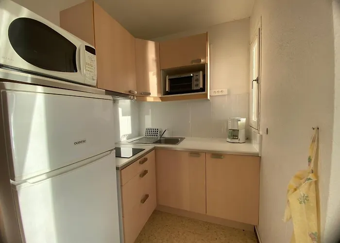 Proche Des Thermes A Balaruc, Animaux Admis - Fr-1-503-70 * Balaruc-les-Bains