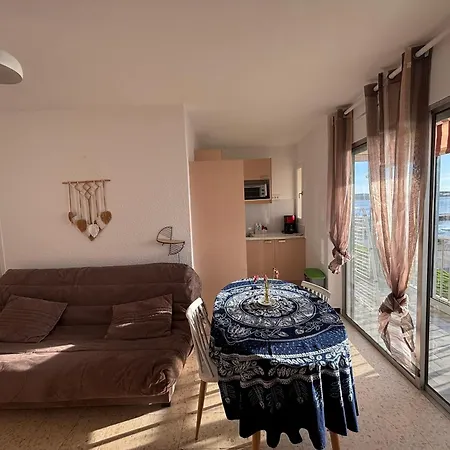 Apartment Proche Des Thermes A Balaruc, Animaux Admis - Fr-1-503-70