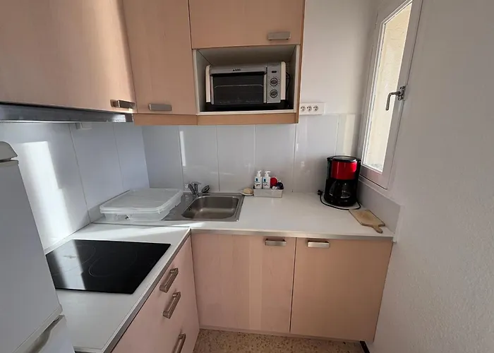 Proche Des Thermes A Balaruc, Animaux Admis - Fr-1-503-70 *
